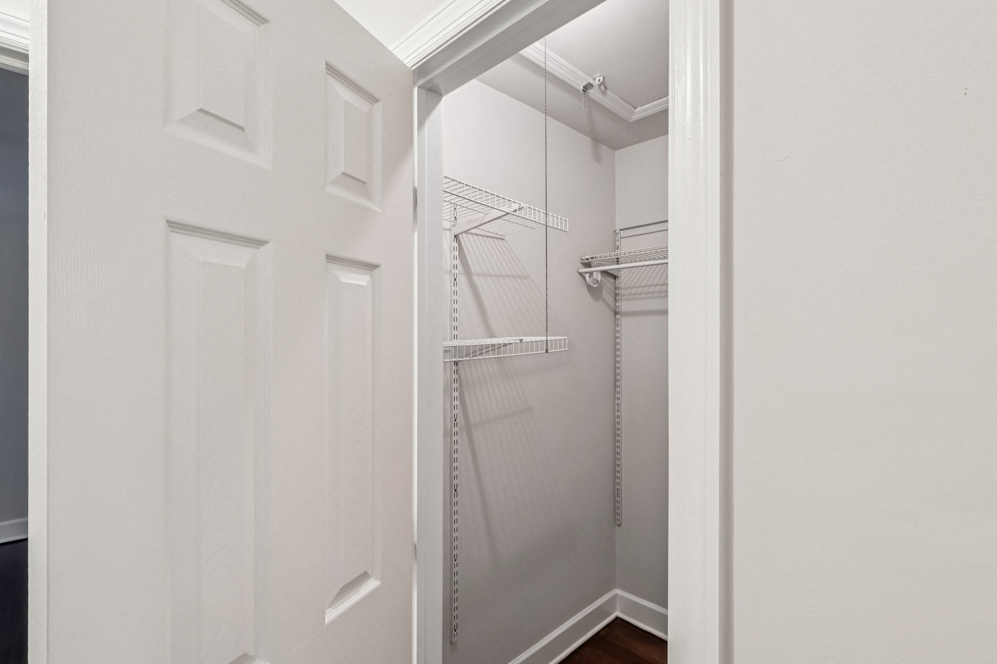 Gallery Photo 7